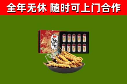 岳西回收冬虫夏草价格