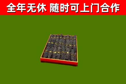 岳西回收海参